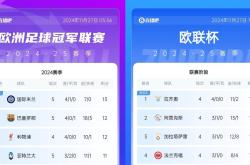 kaiyun网址-欧锦赛预选赛战绩登顶积分榜榜首位置的简单介绍