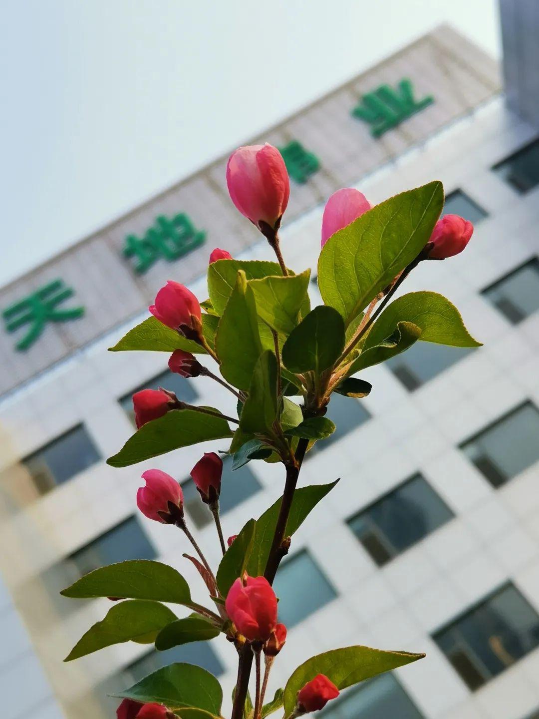 河南队雄心壮志，锲而不舍，走过难关的简单介绍