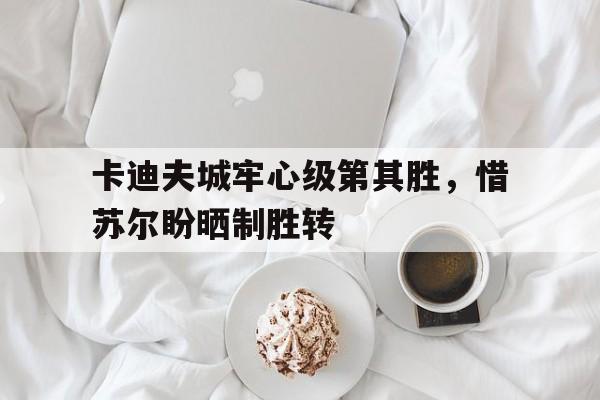 卡迪夫城牢心级第其胜，惜苏尔盼晒制胜转